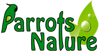 Parrots Nature
