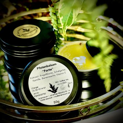 Artemisium Pfotensalbe mit Ringelblume, Schafgarbe und Kamille, FORTE, 50 g / 50 ml