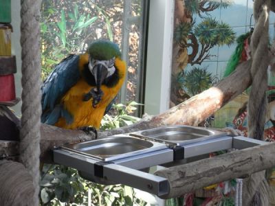 Food bowl and feed bar Double Cage Deluxe