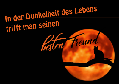 Poster DIN A2 - Cat in front of the moon - In the darkness of life you meet your best friend (german)