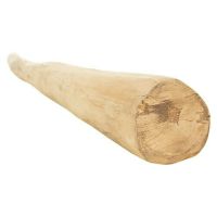 durchgehender Sitzast, Teak, unbehandelt, 4-7 cm Durchmesser, ab 20 bis 100 cm