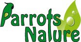 Parrots Nature