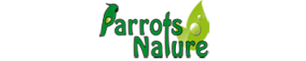Parrots Nature
